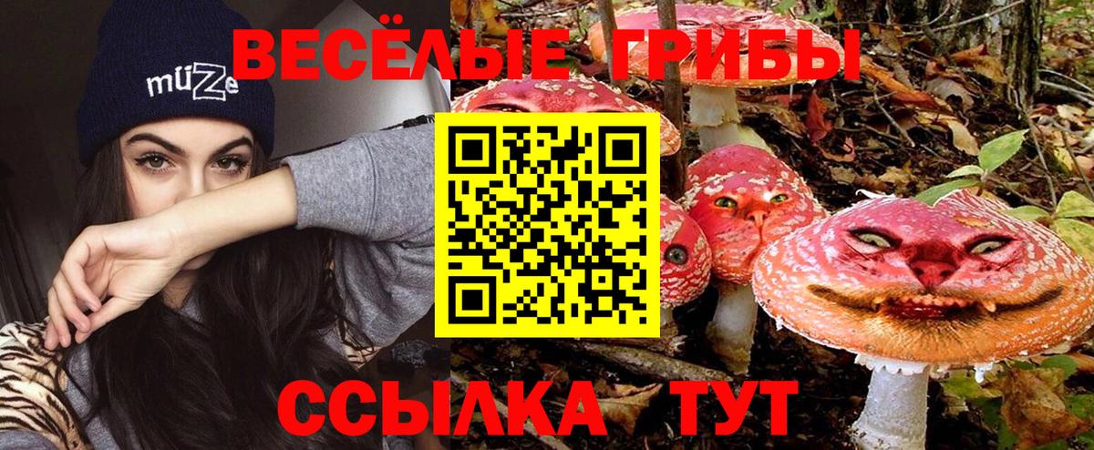 Псилоцибиновые грибы мухоморы Ахтубинск