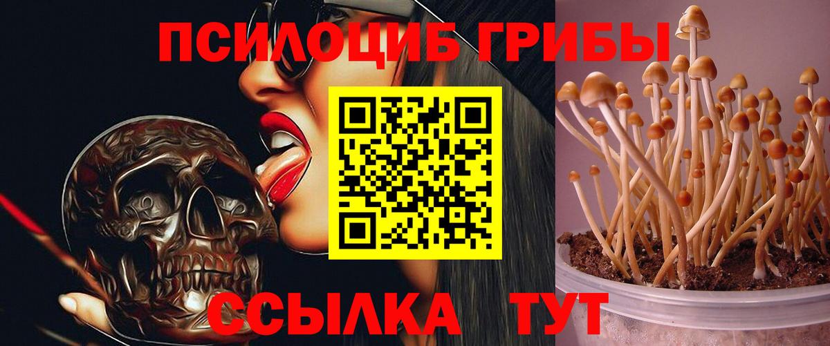закладка  Псилоцибиновые грибы мухоморы  Галлюциногенные грибы мухоморы  Вход с VPN  Ахтубинск 